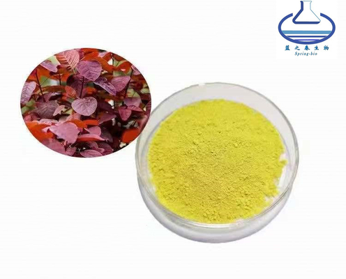 Smoke Tree Extract Powder 98% Fisetin Cotinus Coggygria Exract