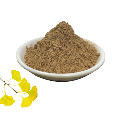 Straight Leaf Flavonoids Ginkgo Biloba Powder 6%-24%