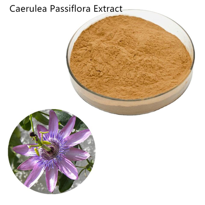 Incarnata Herbal Caerulea Passiflora Extract 4/1 4%