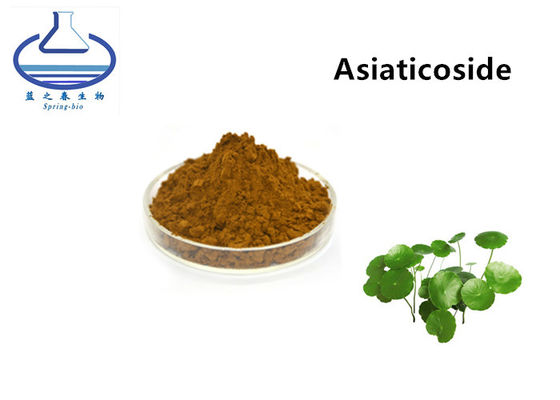 Centella Asiatica Leaf Pure Plant Extracts Asiaticoside 80% CAS 18449-41-7