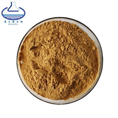 Bacopa Monnieri Lutein Extract Powder 50% Bacoside Maintain Health