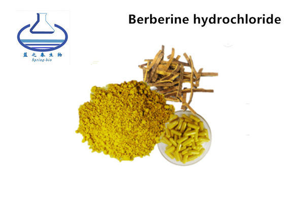 Berberine Hydrochloride Natural Food Coloring Powder 97% Coptis Root Extract