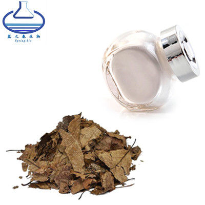 327-97-9 Eucommia Bark Powder