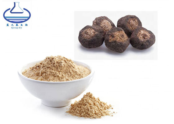 Supply Bulk High Quality Maca Root Extract Powder