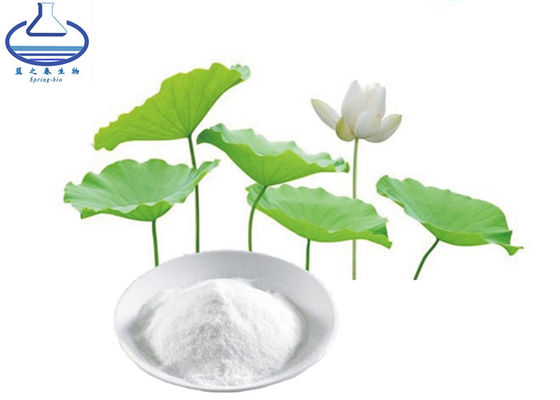 Nuciferine 98% Lotus Leaf Extract Folium Nelumbinis Extract Powder CAS 475-83-2