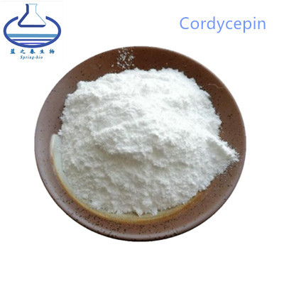 Cordyceps Militaris Extract Ectoin In Skincare 1% 5% 98% Cordycepin Powder