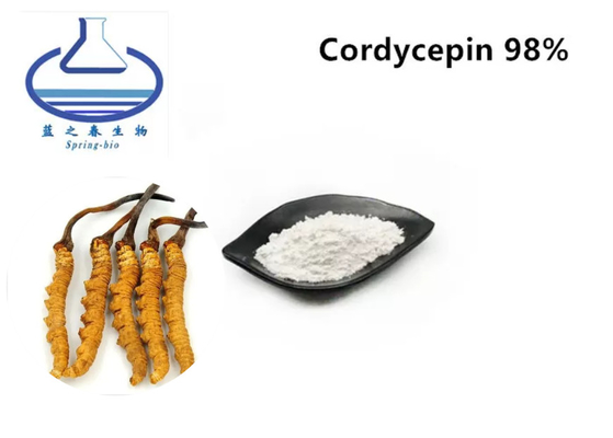 Natural Cordyceps Militaris Extract 98% Cordycepin Powder