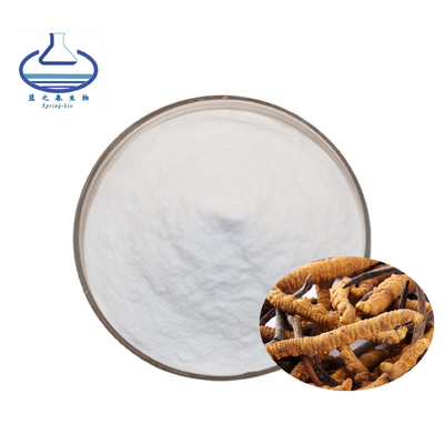Natural Cordyceps Militaris Extract 98% Cordycepin Powder