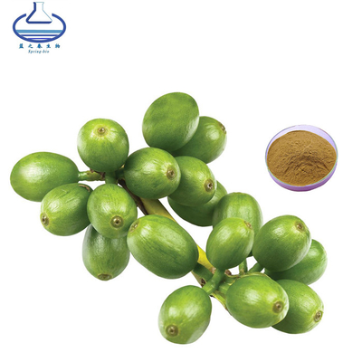 Bulk Green Coffee Bean Extract Powder 10/1-50/1 Food Grade