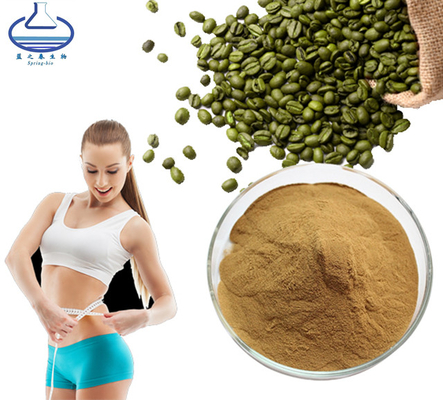 Bulk Green Coffee Bean Extract Powder 10/1-50/1 Food Grade