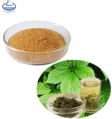 99% Gynostemma Pentaphyllum Extract Aypenoside Gynostemma Pentaphyllum Makino