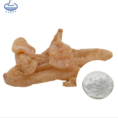 Rhizoma Gastrodiae Extract Gastrodia Rhizoma Extract Gastrodin Powder 98%