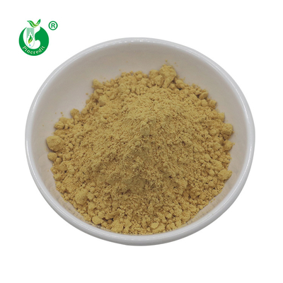 Milk Thistle Extract Water Soluble Silymarin 40% Powder Pure Plant Extracts