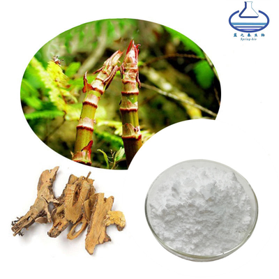 Anti-Aging Antioxidants Resveratrol Polygonum Cuspidatum Root Extract