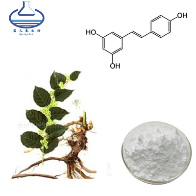 Anti-Aging Antioxidants Resveratrol Polygonum Cuspidatum Root Extract