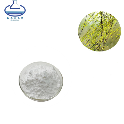 Wholesale High Quality White Willow Bark Extract Powder Salicin