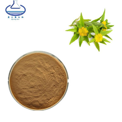 Food Grade Pure Plant Extracts Rhodiola Rosea Extract Powder