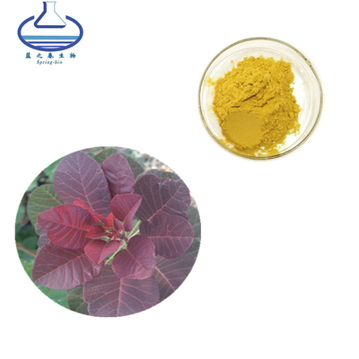 Smoke Tree Extract Powder 98% Fisetin Cotinus Coggygria Exract