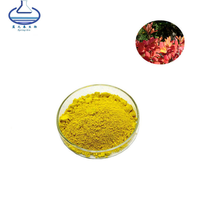 CAS 528-48-3 Fisetin Powder Rhus Succedanea L Extract Powder
