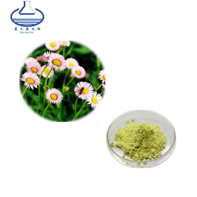 Natural Breviscapine Powder CAS 116122-36-2 Erigeron Breviscapus Extract 98%