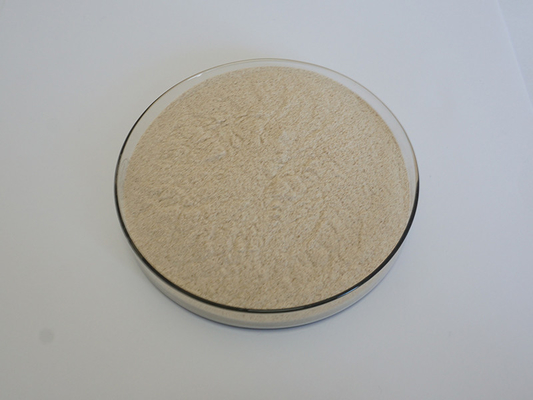 Food Grade Pure Plant Extracts Neutral Protease Serrapeptase 9068-59-1