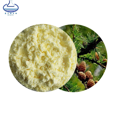 Pure Natural Larch Extracts Taxifoliol Taxifolin Powder