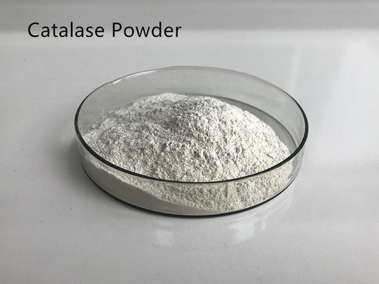 Enzyme Pure Plant Extracts 9001-05-2 Catalase Powder