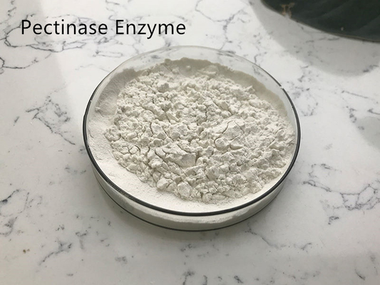 9032-75-1 Food Grade Pure Plant Extracts Juice Pectinase Enzyme