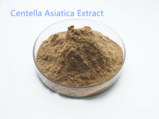 HPLC 10%~95% Centella Asiatica Extract Food And Cosmetic Grade