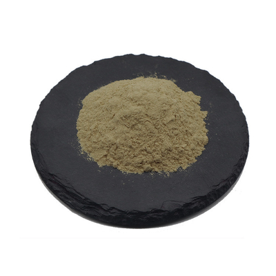 Broccoli Extract 1% 20% Glucoraphanin Powder Solvent Extraction