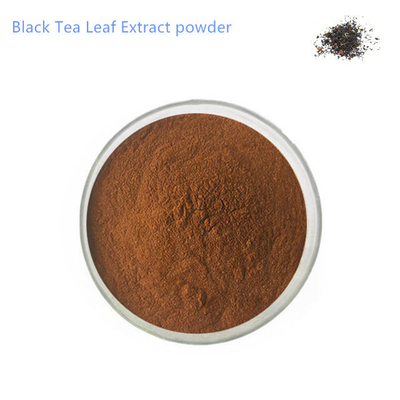 20%-40% Black Tea Leaf Extract powder Pure Plant Extracts