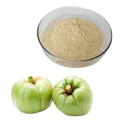 Food Grade 50% 60% 95% Garcinia Cambogia Powder Pure Plant Extracts