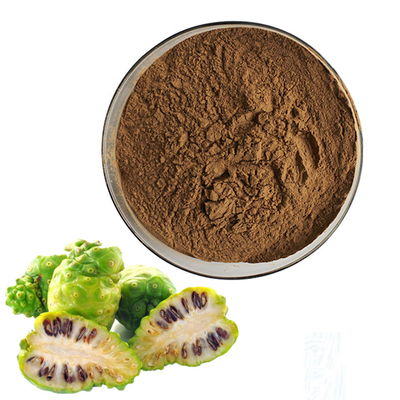 artificial planting Noni Juice Fruit Powder Pure Plant Extracts