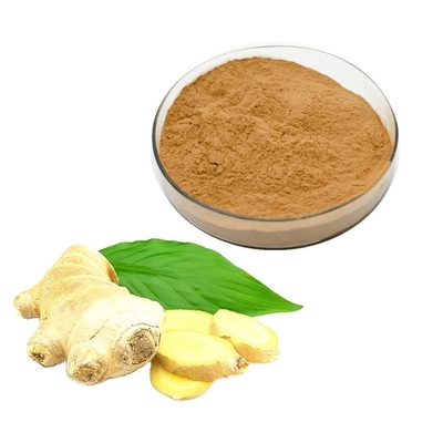 Organic Water Soluble Ginger Root Extract Pure Plant Extracts