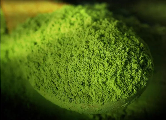 Organic Matcha Green Tea Pure Plant Extracts Food Grade 99%