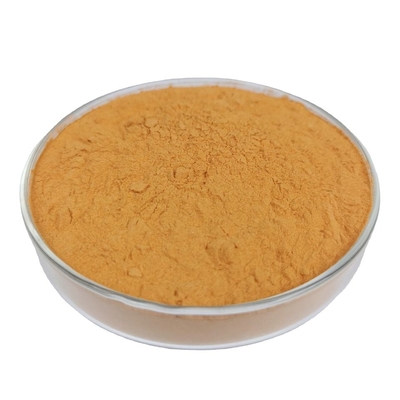 Bulk Pure Plant Extracts Shiitake Mushroom Extract AHCC Supplement