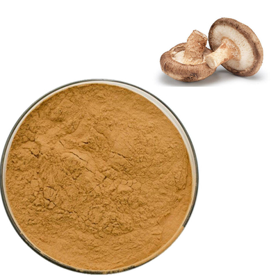 Bulk Pure Plant Extracts Shiitake Mushroom Extract AHCC Supplement