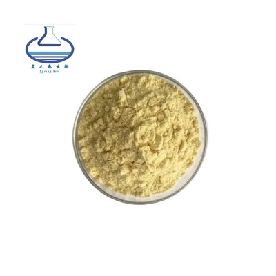 Yellow Dihydroquercetin Larch Extract Taxifolin Solvent Extraction