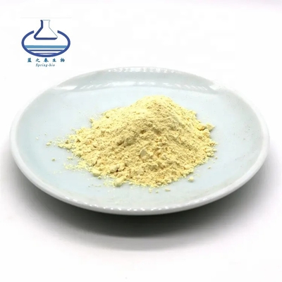 Bulk  Taxifolin Dihydroquercetin Powder CAS 480-18-2