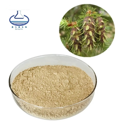 CAS 480-18-2 Taxifolin Powder Dihydroquercetin Powder Solvent Extraction