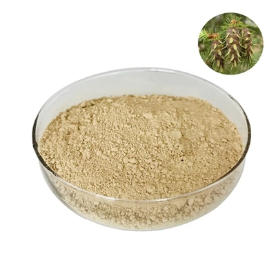 CAS 480-18-2 Taxifolin Powder Dihydroquercetin Powder Solvent Extraction