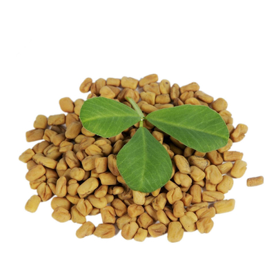Trigonelline Seed Saponins 10/1 Fenugreek Extract For Hair