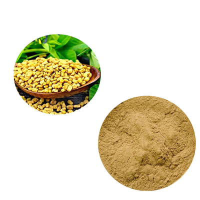 Trigonelline Seed Saponins 10/1 Fenugreek Extract For Hair