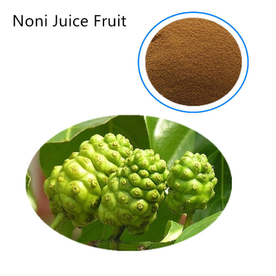 Soluble In Water Pure Plant Extracts Organic Fruit Noni Juice Powder