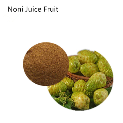 Soluble In Water Pure Plant Extracts Organic Fruit Noni Juice Powder