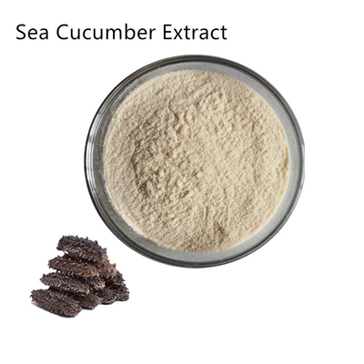 Freeze Dried Pure Plant Extracts Sea Cucumber Extract Powder