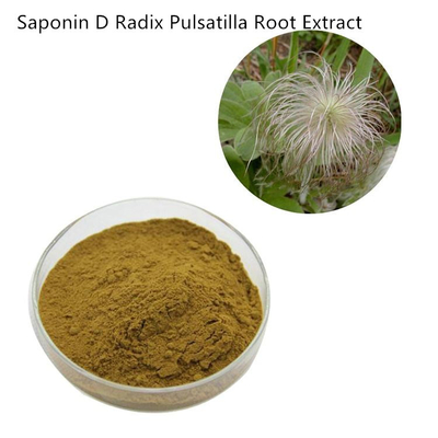 Herbal Pure Plant Extracts Chinese Saponin D Radix Pulsatilla Root Extract