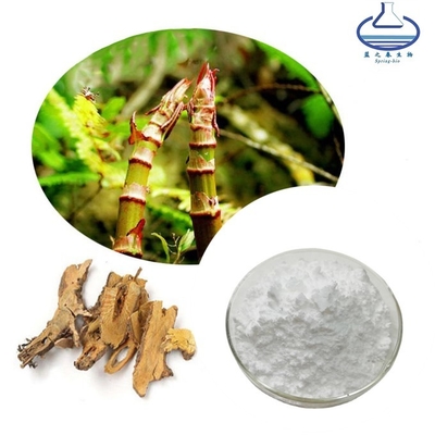 Resveratrol Polygonum Cuspidatum Root Extract Anti-Aging Antioxidants