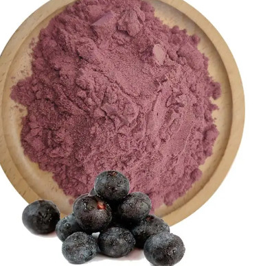 Manufactures Supply bulk Pure Natural Acai Berry Powder