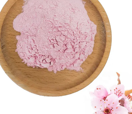 Organic Pure Plant Extracts Sakura Flowers Dried Powder